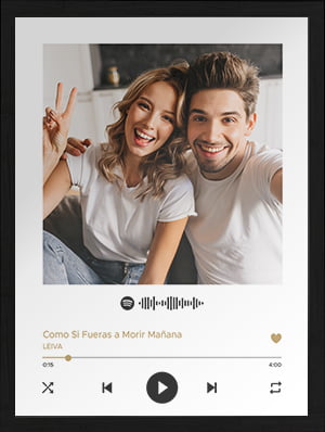 Cuadro Spotify